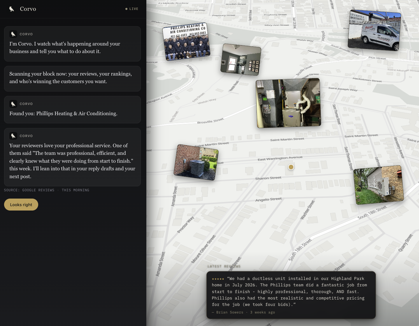 A Corvo scan for Phillips Heating and Air Conditioning showing service-area competitors, equipment photos, map context, and a recent customer review.
