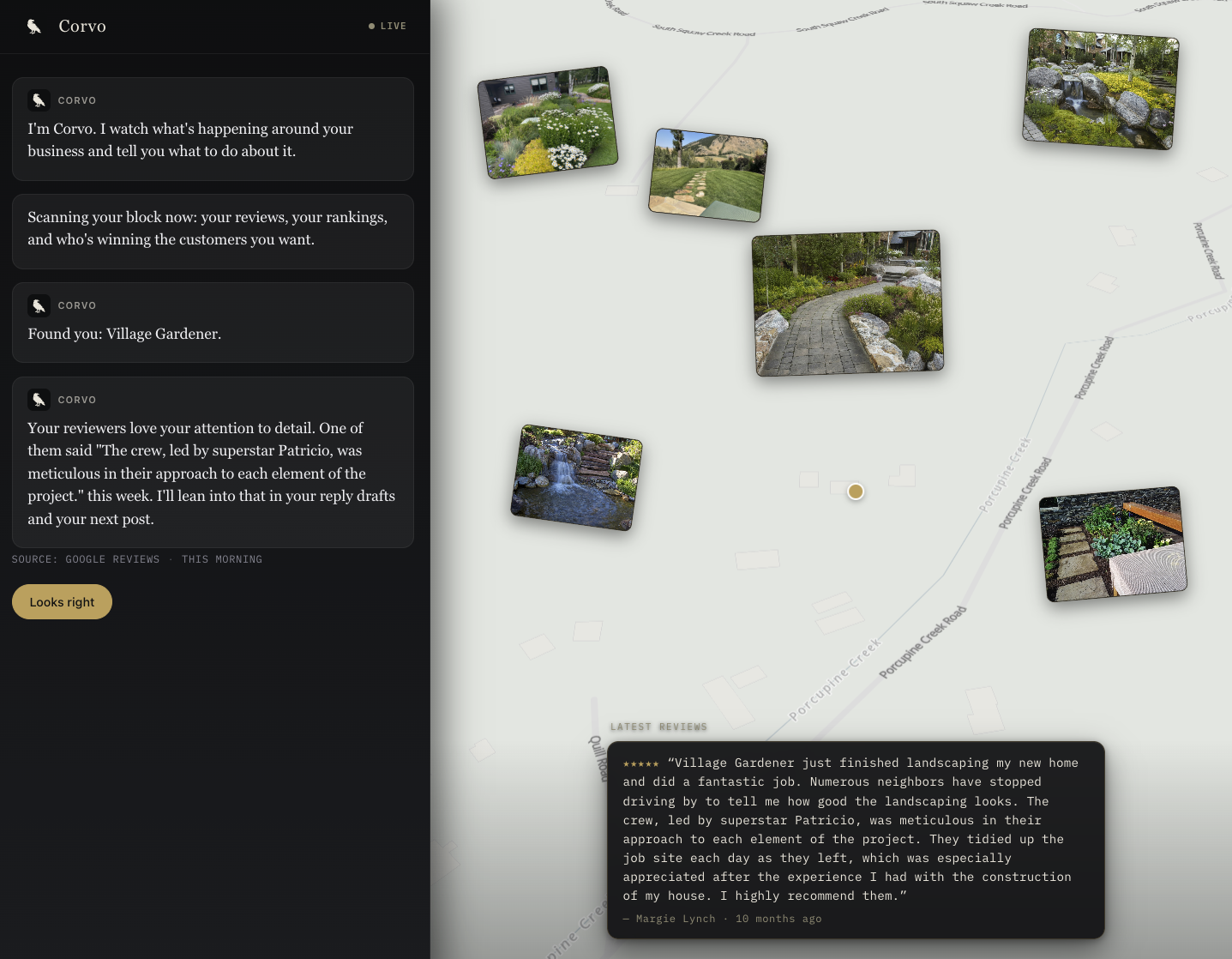 A Corvo scan for Village Gardener showing nearby competitors, project photos, map context, and a recent customer review.
